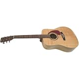 Norman B20 HG Guitar w/case