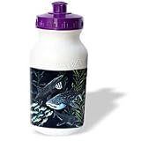 Steve Shachter Art - GENTLE GIANTS - Water Bottles