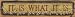 It Is What It Is Lisa Hilliker 18x4