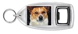 JACK RUSSELL Bottle Opener