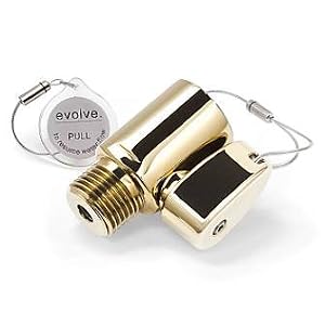 ShowerStart Ladybug Showerhead Adapter - Polished Brass - Frontgate