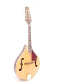NEW Acoustic MANDOLIN SANDALWOOD Carved SPRUCE TOP