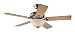 Hunter Brookline One-Light 52-Inch Five-Blade Ceiling Fan, Brushed Nickel with Frosted Globe #22451
