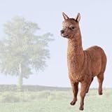 FRP　アルパカの微笑み / Alpaca　【動物園オブジェ　アニマルオブジェ　店舗・イベント向け】