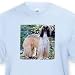 Afghan Hound - Light Blue Infant Lap-Shoulder Tee (24M)