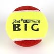 ZSIG Slocoach Big...