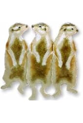 Meerkats Sterling Silver and Enamel Pin