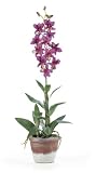 Dendrobium Silk Flower Arrangement - Purple - B000MW8H9M
