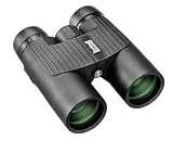 Bushnell