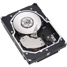 Seagate Cheetah 15K.5 - Hard drive - 300 GB - internal - 3.5 - Ultra320 SCSI - 80 pin... by Seagate