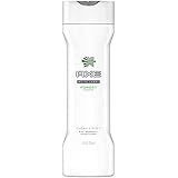 AXE 2 in 1 Shampoo Plus Conditioner