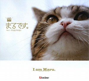 DVD�̿��� �ޤ�Ǥ���