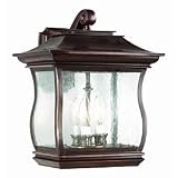 Troy Lighting Brentwood Park Outdoor Wall Mount Lantern