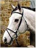 HDR Padded Dressage Bridle