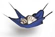 SPET FERRET HAMMOCK