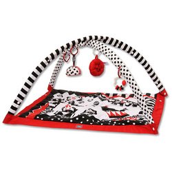 Gymini Activity Gym - Black, White and Red by Tiny Love