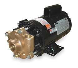 Dayton 2ZWR9 Pump, Centrifugal, 1 HP, 1 Ph, 115/230V
