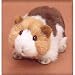 GILDA GUINEA PIG PLUSH TOY 8"