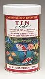 Wardley Corp Pond Pond Flakes 6 Ounces - 98994/52030