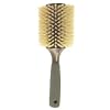 Buy Brushes & Combs - HAIRART Blondie Series 4" Brush (Model: 75220) (Pack of 2)