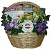 Guided Imagery Cancer Fighting Get Well Gift Basket