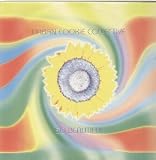 SO BEAUTIFUL 12 INCH (12" SINGLE) UK PULSE 8 1995