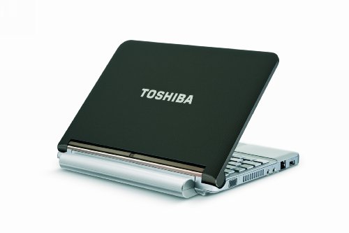 Toshiba Mini NB205-N310/BN 10.1-Inch Sable Brown Netbook - 9 Hour Battery Life