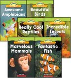 Vocabulary