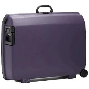 Samsonite Oyster 29
