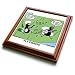 Rich Diesslin KNOTS Scout Cartoons - Kamp Knots Canoe Adventure - Fly Fishing - Trivets