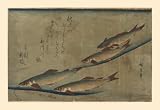 Art Poster, Salmon Run - 27.5 x 18.75