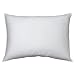 Aller Ease Cotton Allergen Barrier King Pillow Cover