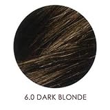 UMBERTO BEVERLY HILLS U Color Hair Color Kit 6.0 Dark Blonde