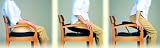 Up-lift Uplift Seat Assist - Model Ul100