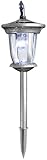 Solar Path Light, With Flexi Spot Light - B000NBAGY6