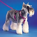 Surefit Dog Harness - Black Large