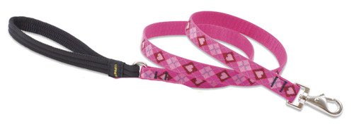 Puppy Love - Lupine Leads 3/4" x 6'