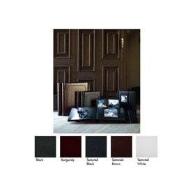 Renaissance Albums The Hudson, Bound Album with 10 Peel & Mount 8x10 Pages, Brown Covers with Black Pages