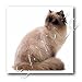 himalayan25  - Himalayan 10x10 Iron On Heat Transfer For White