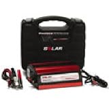 Solar #PI4000X - 400 W Power inverter