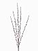 Club Pack of 12 Garden Getaway Budded Pussy Willow Floral Branches 42