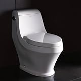 Contemporary European Toilet With Elongated Bowl One Fit Rough-In Technology Non-Slamming Seat Upgrade & Soft