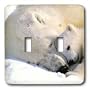 Wild animals - Polar Bear and Cub - Light Switch Covers - double toggle switch
