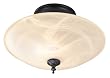 World Imports Lighting 9043-42 Bern 3-Light Semi-Flush Mount, Rust