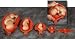 Uterus with Fetus Anatomical Model Set