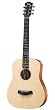 Taylor Guitars Baby Taylor, BT1, Natural