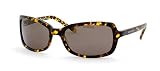 Kate Spade RACHEL/S Sunglasses