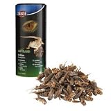 Crickets, dried, 250 ml/25 g