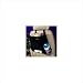 High Road Auto Litterbag/Tissue Holder - Black