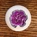 FLOWERS CARNATION #01 FLOWER DRAWER PULLS KNOBS Image